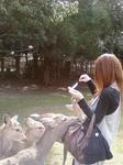 画像-0037.jpg